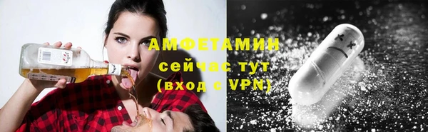сатива Абаза