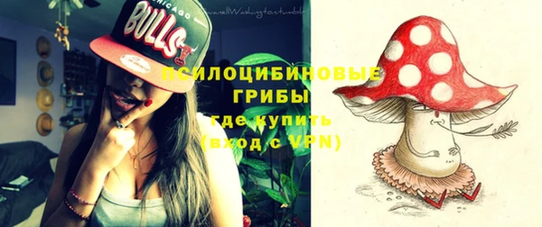 сатива Абаза