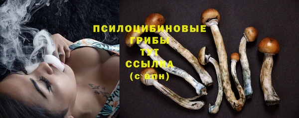 синтетический гашиш Абинск
